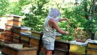 Bienenwerkstatt