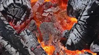 Royalty Free Fire Embers Stock Video Footage