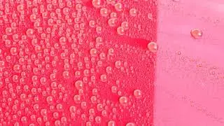 Infinity Wax Turbo 6 - Hybrid Carnauba Ceramic Creme - Beading test