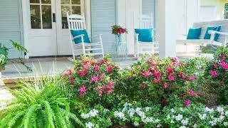 Press Play on Encore Azaleas & Enjoy Flowers All Season
