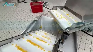 2D/3D Pellet Snack Production Line