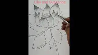 Lotus 🪷 draw by easy trick #drawing #art #drawing #freehen #sketch
