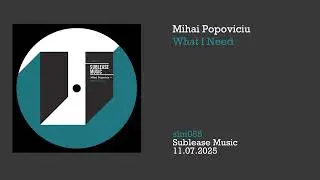 Mihai Popoviciu: What I Need