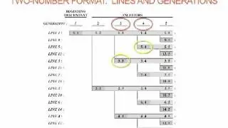 Ancestral Lines Step-By-Step Introduction 2011