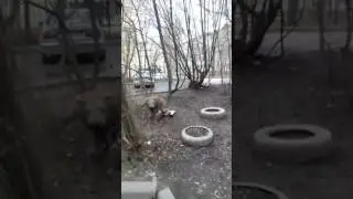 ТЫ КВА