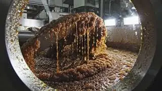 HOW GIANT TECHNOLOGY PROCESSES MILLIONS OF TONS OF SUGAR 🏭