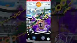 Bug Bite/Vise Grip Shadow Pinsir Solo vs Mega Rayquaza Only (No Purify Gem, Sunny) #pokemongo #solo