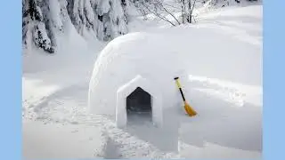 Igloo Stay in Manali