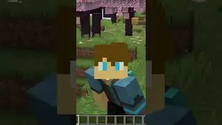 Why You Have a Bad Framerate