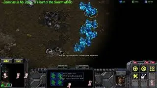 aVilo vs Cauli, game 37