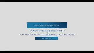 Management de proiect - Constituirea echipei de proiect, planificarea activităților