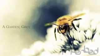 paperbed - A Garden, Grey