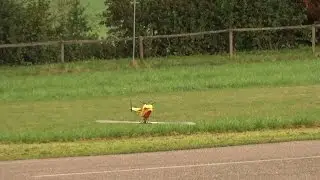 Gaui X7 RC 3D Helicopter performance by Ramon Hausen 2016