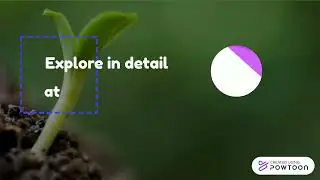 Habitat and Ecosystem Restoration
