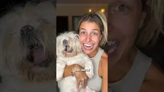 CACHORRA CANTORA #shorts