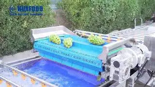 Commercial Industrial Fruit Washer Bubble Washing Grape Washing Drying Machine