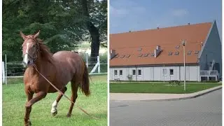 Trafione kierunki nauczania i efektowne wyposażenie. Wciąż rosnący nabór w ZSCKR w Nowosielcach