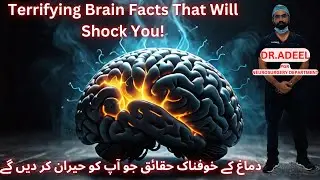 You Won't Believe These SCARY Brain Facts!