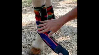 How to Put Sport Boots On Your Horse