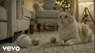 !unpAId - Sneaky Cat (Official Music Video)