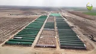 مشروع زراعة مليون نخلة في بادية السماوة / هيئة استثمار المثنى