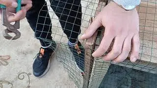 Kümes Yapımı.  Part2.