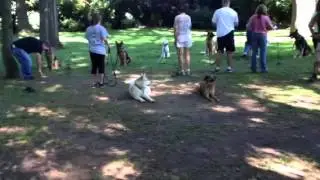 Hachi @ K9 East Part 3