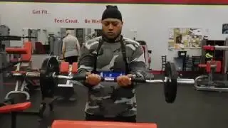 biceps blasters belt review