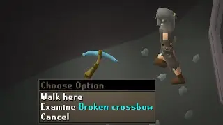 I am now immortalized in Runescape