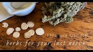 Herbs for your Last Nerve