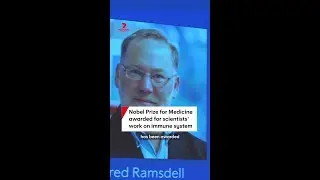 Three scientists awarded Nobel Prize for Medicine for work on immune system