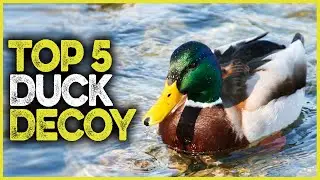 Best Duck Decoy 2025 | Top 5 New Motion Duck Decoys For Hunting