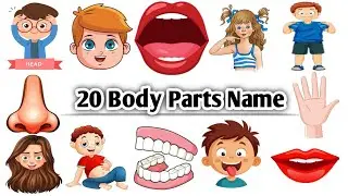 🧠 20 Body Parts Name in English | Learn Human Body Parts for Kids 👀🦵🖐️, #bodypartsname ||