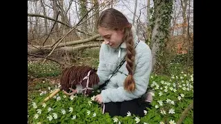 Ostsee Urlaub mit 2 Hobby Horses und meiner besten Freundin!