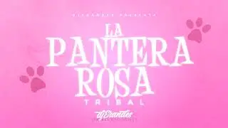 PANTERA ROSA TRIBAL - DJ ERANDES 2026