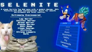 Lag Server? | Selenite - Gorilla Tag Modding