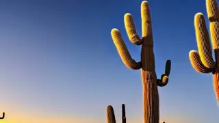 Back to Arizona! Night Flight Adventure with the Kids