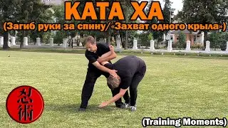 Тренировочные моменты №46 - КАТА ХА (Загиб руки за спину / &laquo;Захват одного крыла&raquo;) (Training Moments)