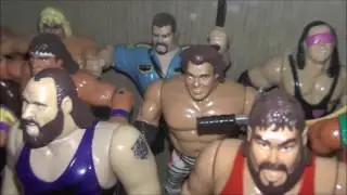 Complete Set Of WWF Hasbro & WCW Figures On Display