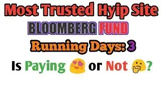 New Hyip site Review #Bloomberg_Fund. 🏃 Days: 3. Is Paying 😍 or Not 🤔? | Hyip News - Hyips daily
