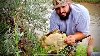 TORTUGA 🐢 PESCA Y COSINA 🔥
