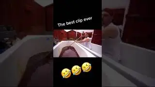 Belly Button Song - TGF