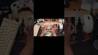 Neo65 VS Weikav Nut65 TYPING SOUNDS COMPARISON