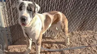 Ricky A881093