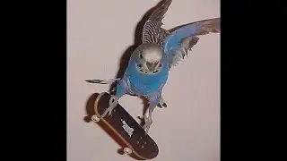 [FREE] wifiskeleton x jaydes x alex g type beat - 