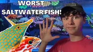 5 of the WORST SALTWATER FISH and 5 BETTER Options You&rsquo;ve Probably Never Heard of!!!