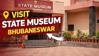 Visit State Museum in this winter season ✨✨✨💐🌺#youtubeshorts#video #youtube#bhubaneswar#odisha#vlog 