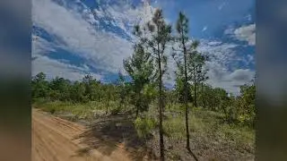 315 Washington Dr, Hawthorne FL 32640