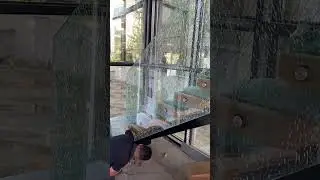 &iquest;Comprar&iacute;as Este Cristal Roto? 😱