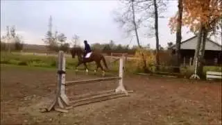 Aprisio